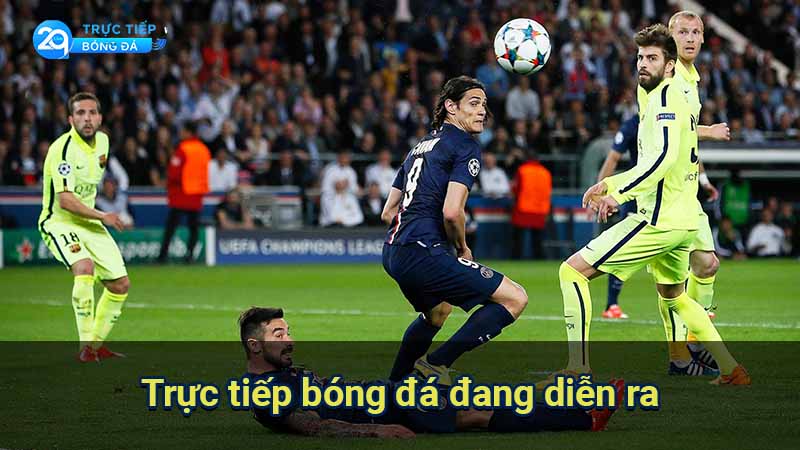 Trực tiếp bóng đá đang diễn ra